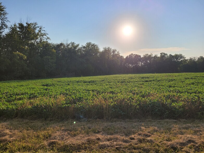 More Photos Of Highway DD (85.69+/- Acres - Tract E), Bellflower Land For Sale