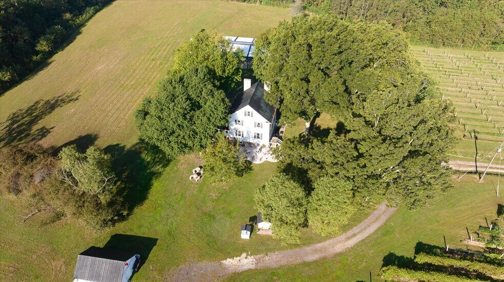 More Photos Of 667 Hustle Rd, Hustle Winery Vineyard For Sale