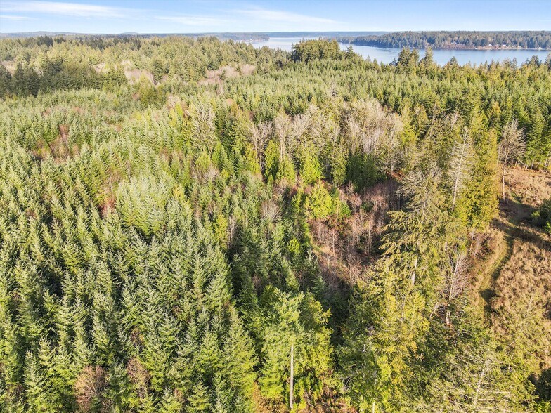 More Photos Of XXX Gravelly Beach Loop, Olympia Land For Sale