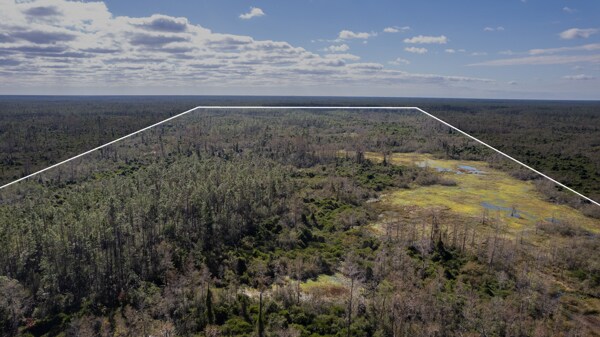 More Photos Of US Hwy 27 hwy, Perry Land For Sale