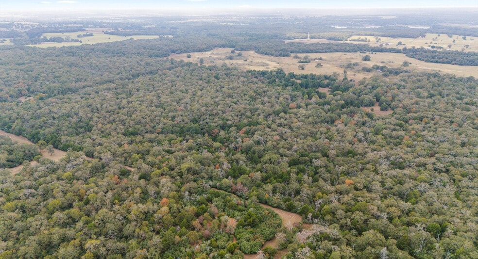 More Photos Of TBD County #415 rd, Lexington Land For Sale