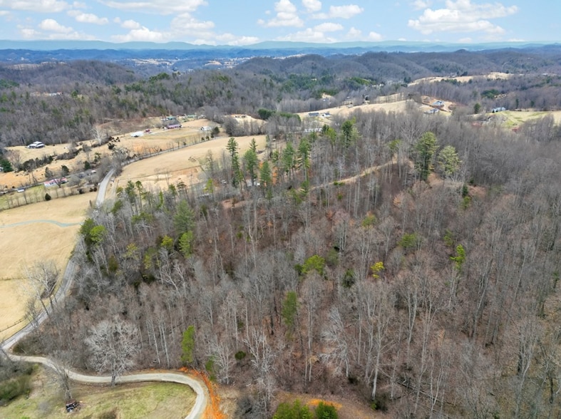 Primary Photo Of 22720 Twin Oaks Rd, Abingdon Land For Sale