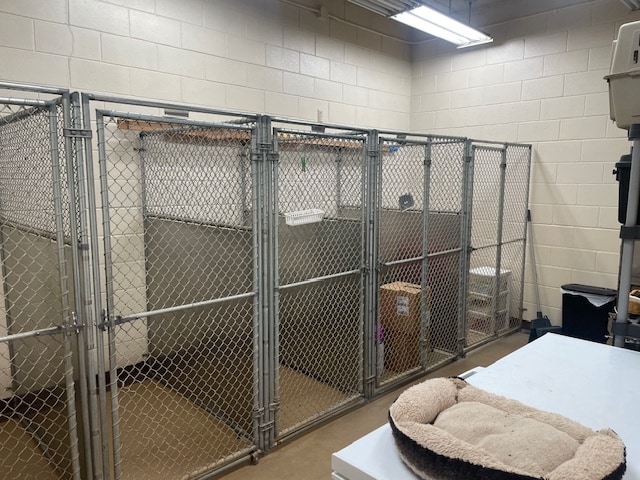 More Photos Of 421 5th St, Centuria Office For Sale