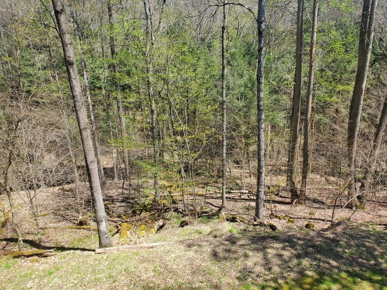 More Photos Of 1997 Rock Hill Rd, Weedville Hotel For Sale