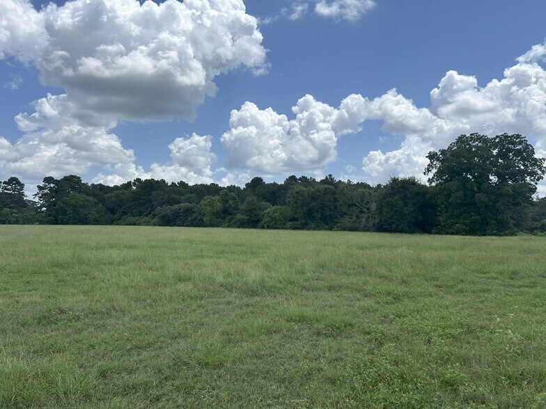 More Photos Of 25396 Magnolia Rd, Hockley Land For Sale