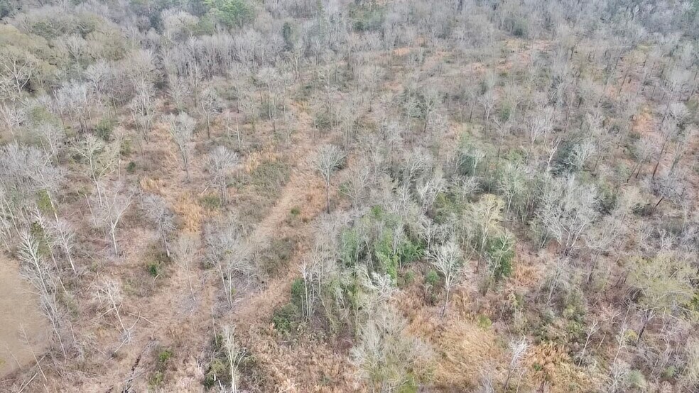 More Photos Of 52000 Block US-31 Hwy, Perdido Land For Sale