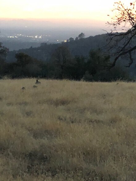 More Photos Of 1484 Oregon Gulch, Oroville Land For Sale
