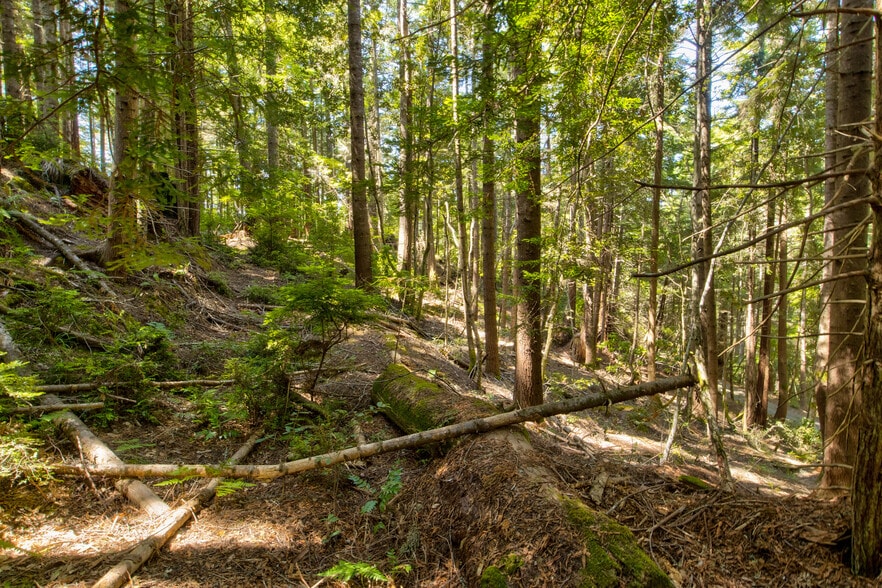 More Photos Of 33170 Frog Pond rd, Little River Land For Sale