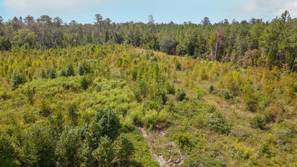 More Photos Of TBD NE 36th Drive Dr, Jasper Land For Sale