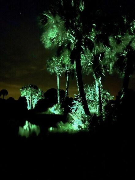 More Photos Of 1303 Cabbage Ln, Okeechobee Land For Sale