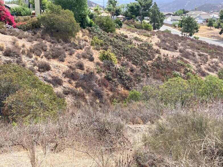 More Photos Of 0 Calle Los Arboles, Spring Valley Land For Sale