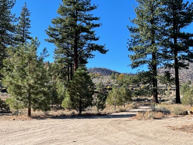 More Photos Of 415-025 Scott Rd, Doyle Land For Sale