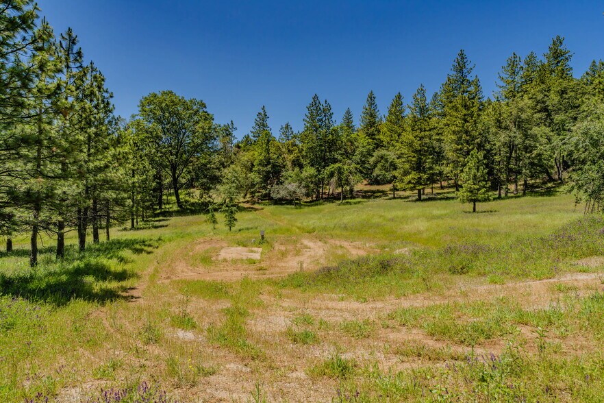 More Photos Of 25755 State Highway 88, Pioneer Land For Sale