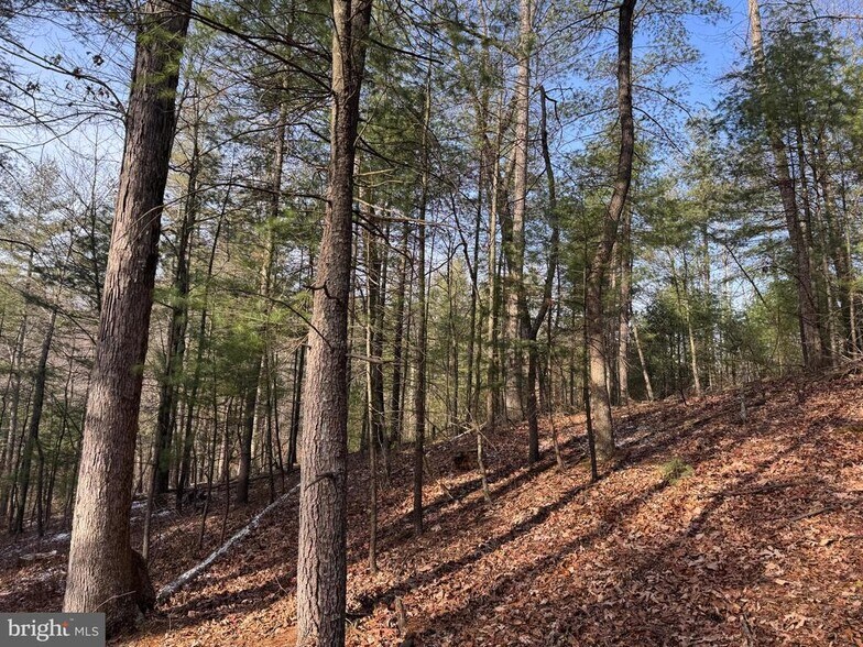 More Photos Of Haven Ln, Warfordsburg Land For Sale