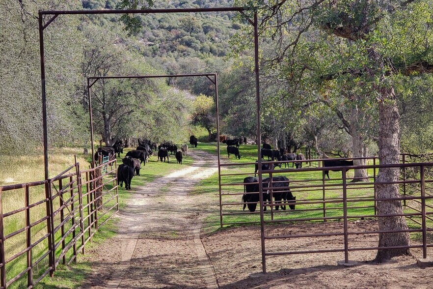 More Photos Of Dry Creek Drive, Badger Land For Sale
