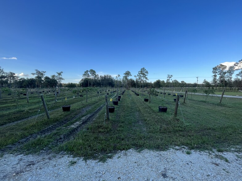 More Photos Of 20948 Corkscrew Rd, Estero Winery Vineyard For Sale