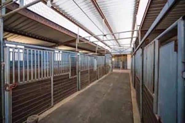 More Photos Of 64 Thoroughbred Way, Fredericksburg Land For Sale