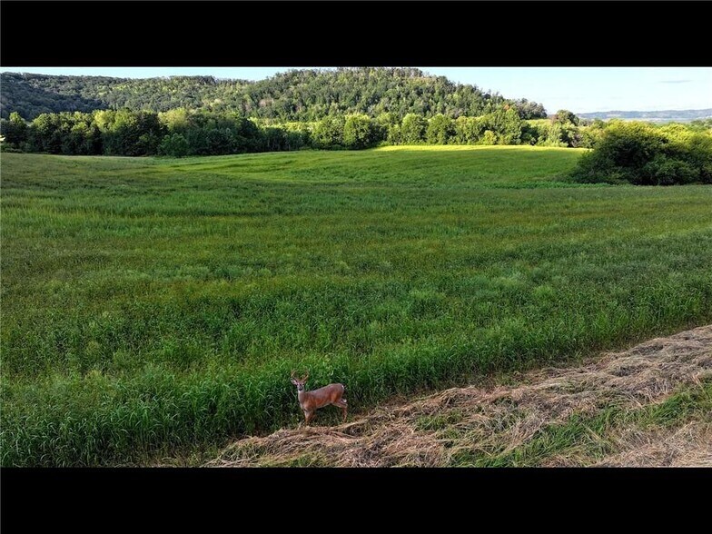 More Photos Of N3953 Bear Pen Rd, Arkansaw Land For Sale