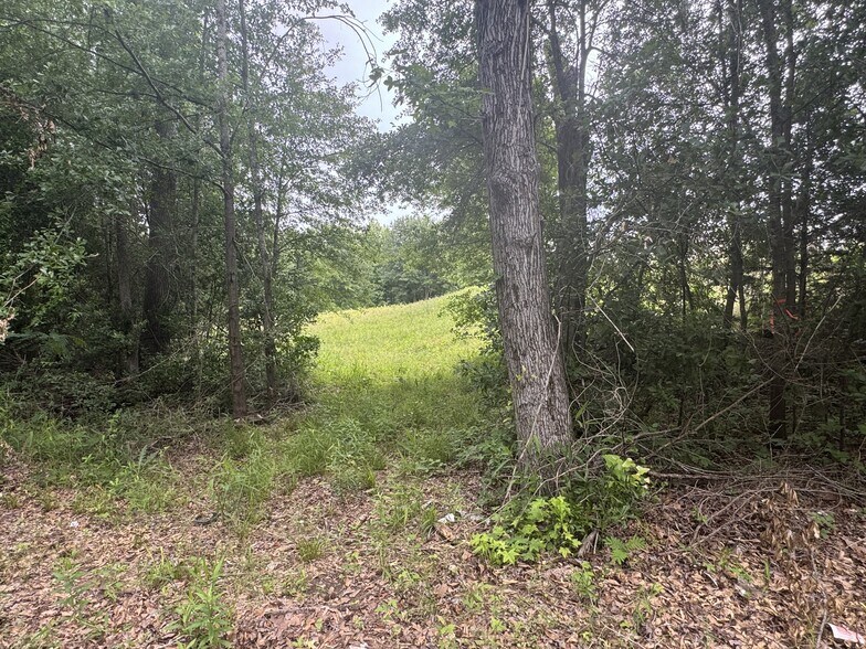 More Photos Of 6175 TX-256 Hwy, Palestine Land For Sale