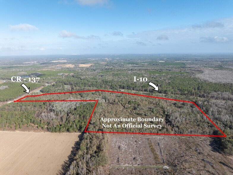 More Photos Of TBD 137, Wellborn Land For Sale