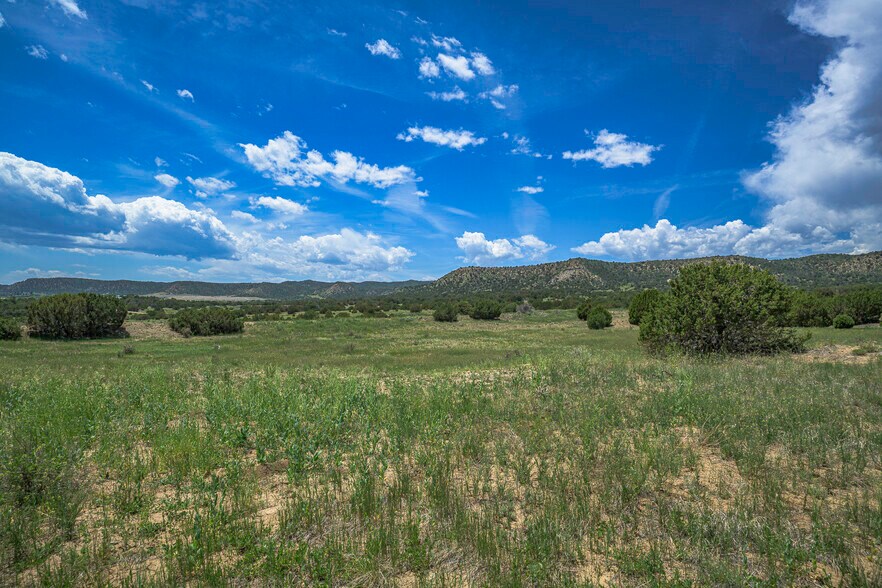 More Photos Of TBD County Road 71.1, Trinidad Land For Sale