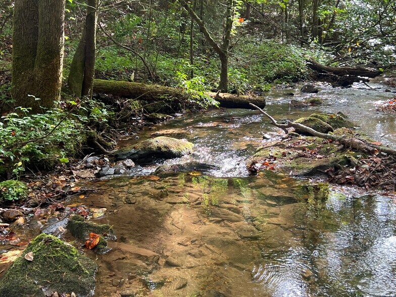 More Photos Of Whitecliff Drive, Ellijay Land For Sale