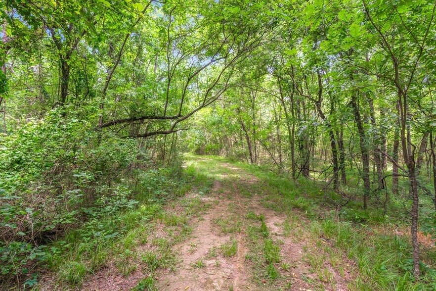 More Photos Of 1745 FM 2737, Lone Oak Land For Sale