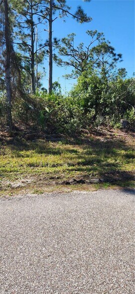 More Photos Of 12087 Alumna ave, Port Charlotte Land For Lease