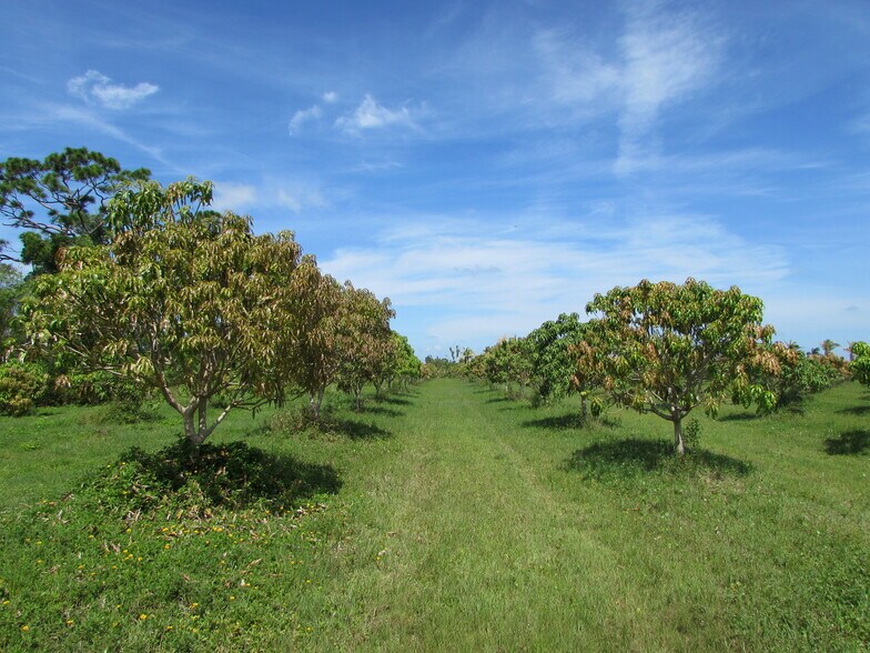 More Photos Of 9000 Stringfellow Rd, Saint James City Land For Sale