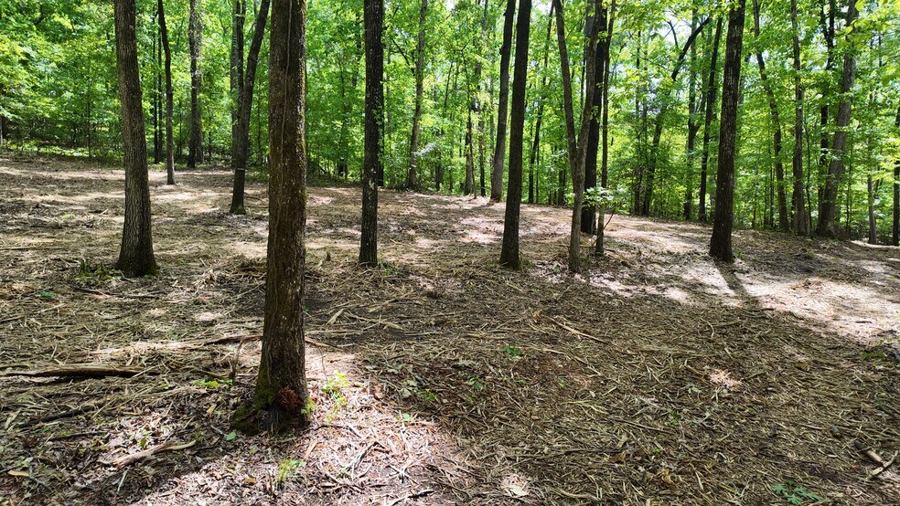 More Photos Of 0 Bullock Bridge Rd, Monroe Land For Sale