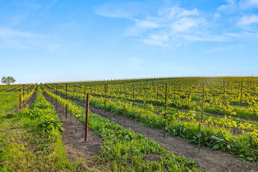 More Photos Of 2750 Las Amigas Rd, Napa Winery Vineyard For Sale