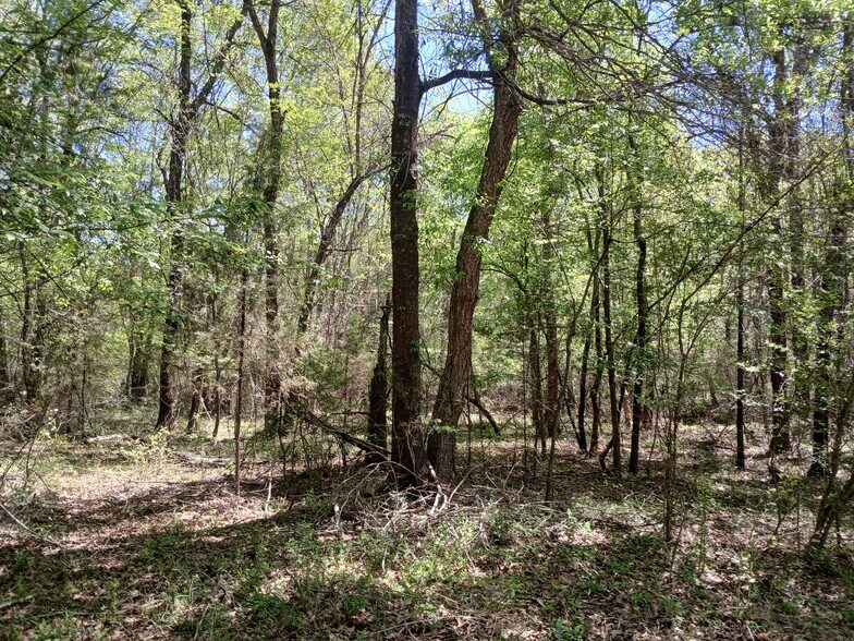 More Photos Of 414000 E 1920 Rd, Antlers Land For Sale