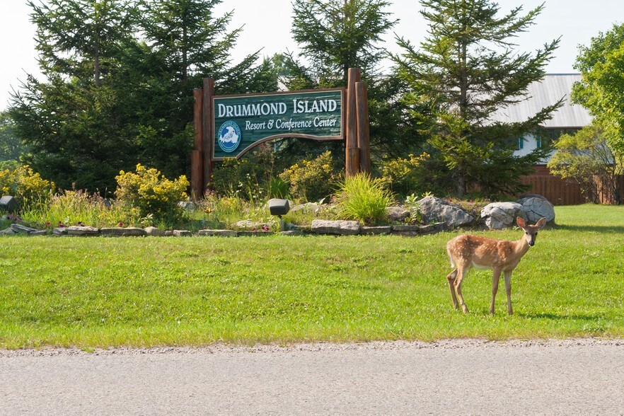 More Photos Of 33494 S Maxton Rd, Drummond Island Hotel For Sale