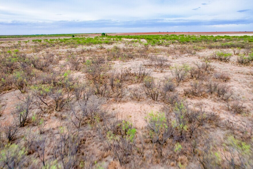 More Photos Of SW Corner of 380 & County Road 595 hwy, Brownfield Land For Sale