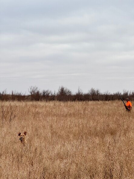 More Photos Of SW Corner of 380 & County Road 595 hwy, Brownfield Land For Sale