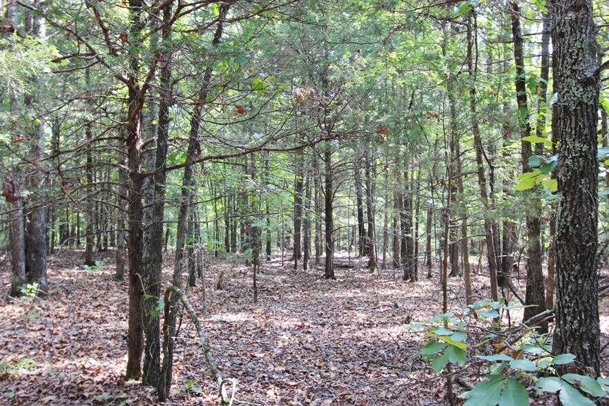 More Photos Of 226 Blythe rd, Greenbrier Land For Sale