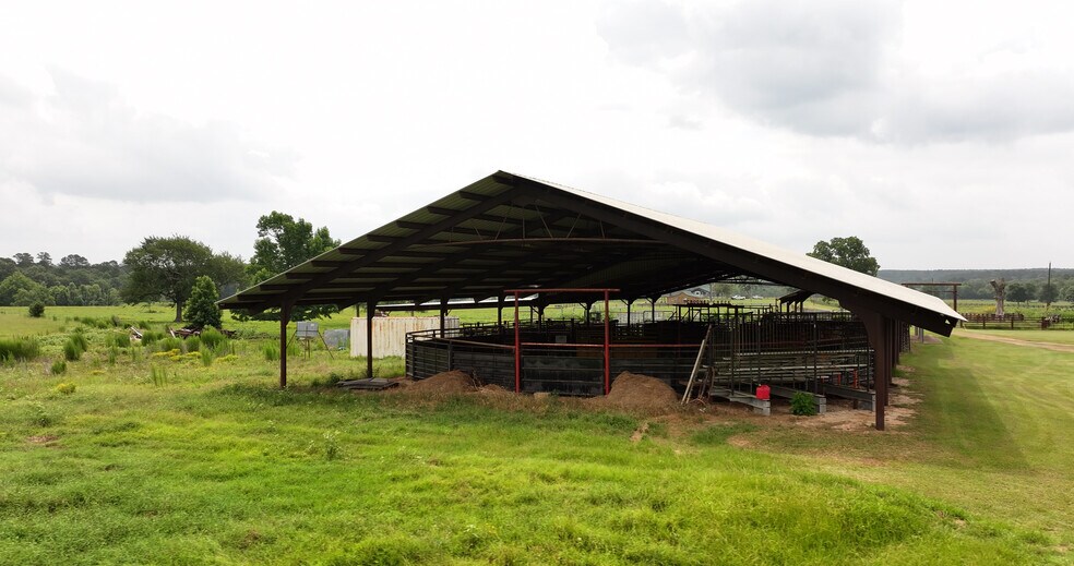 More Photos Of 44 Bucking Bull Rd, New Waverly Land For Sale