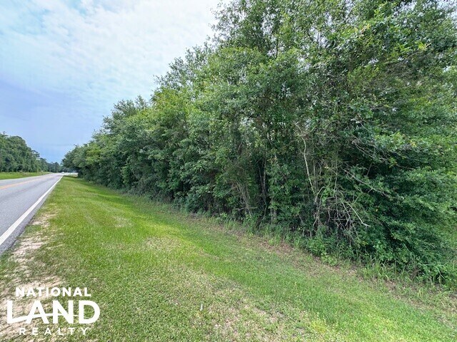 More Photos Of 0 Dead Lake Rd., Creola Land For Sale