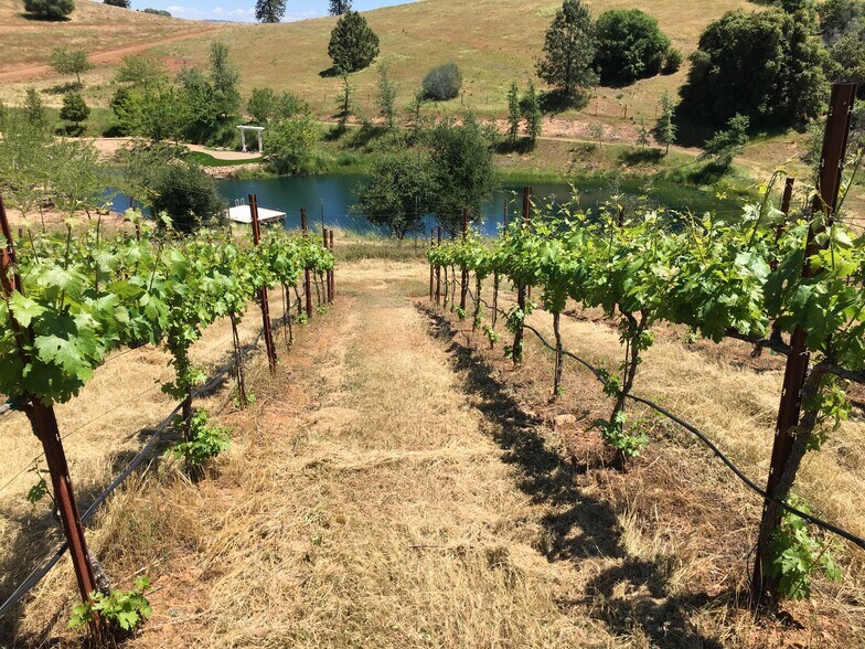 More Photos Of 7005 Mountain Ranch Rd, Mountain Ranch Land For Sale