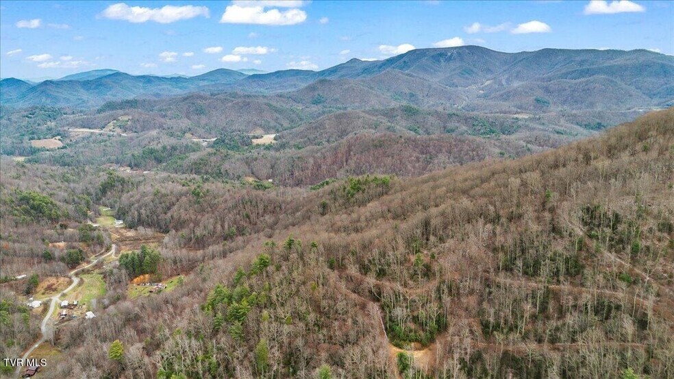 More Photos Of TBD Stockton Rd rd, Flag Pond Land For Sale