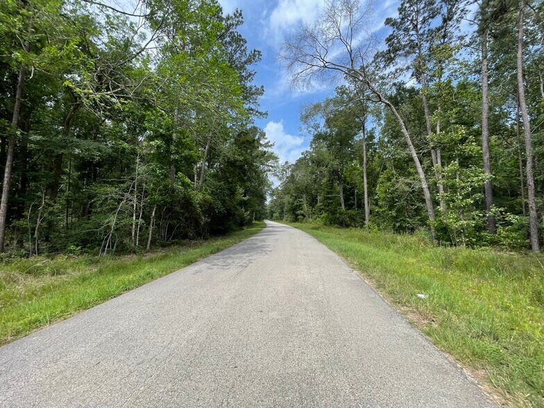 More Photos Of 19094 Galaxy Blvd, New Caney Land For Sale
