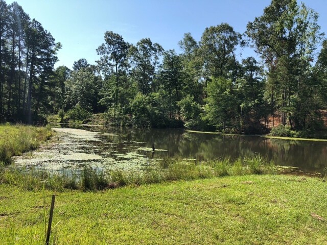 More Photos Of Hwy 157, Plain Dealing Land For Sale