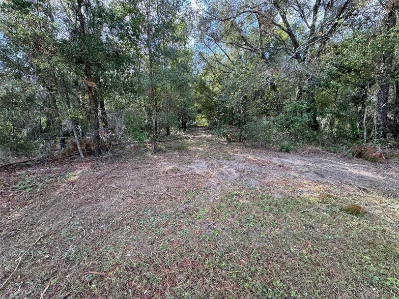 More Photos Of 214 W International Speedway Blvd, Deland Land For Sale