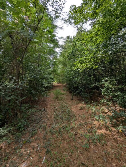 More Photos Of Balfour Road & McNeill Lake Rd, Lumber Bridge Land For Sale