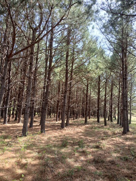 More Photos Of 414000 E 1920 Rd, Antlers Land For Sale