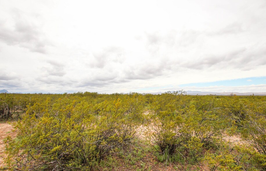 More Photos Of 5860 E Comsoft Pl, Sahuarita Land For Lease