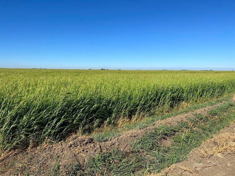 More Photos Of Radio Station, Dixon Land For Sale