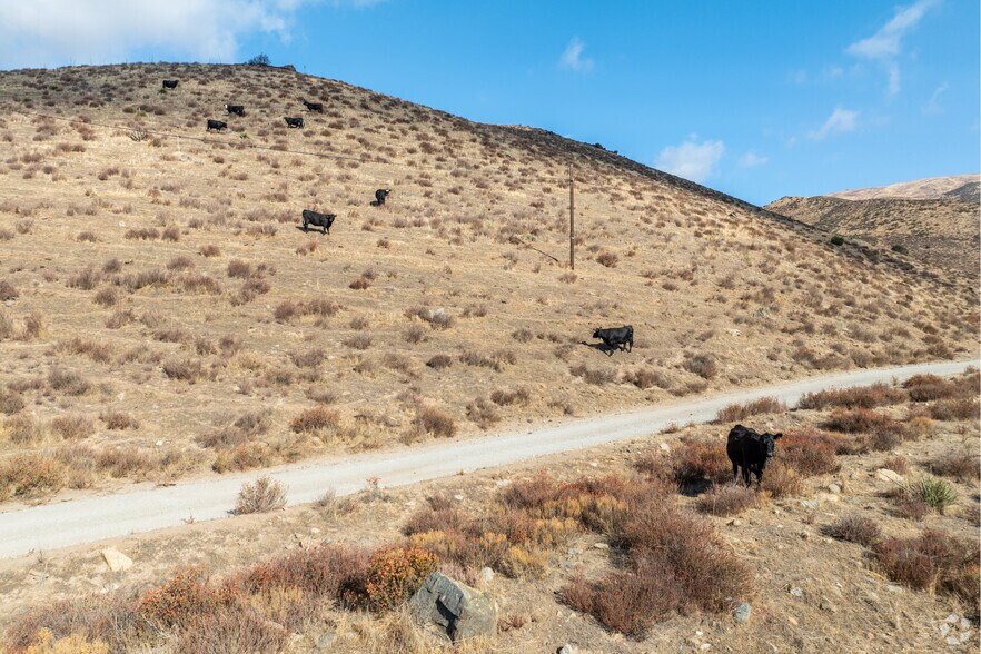 More Photos Of 35900 Anthony Rd, Agua Dulce Land For Sale