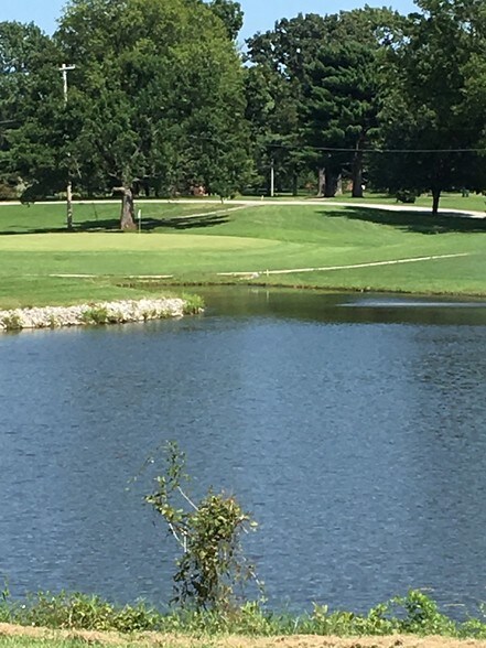 More Photos Of 6204 State Rte 154, Tamaroa Land For Sale