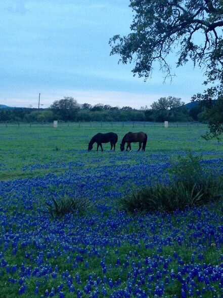 More Photos Of 0 Escalar dr, Buchanan Dam Land For Sale